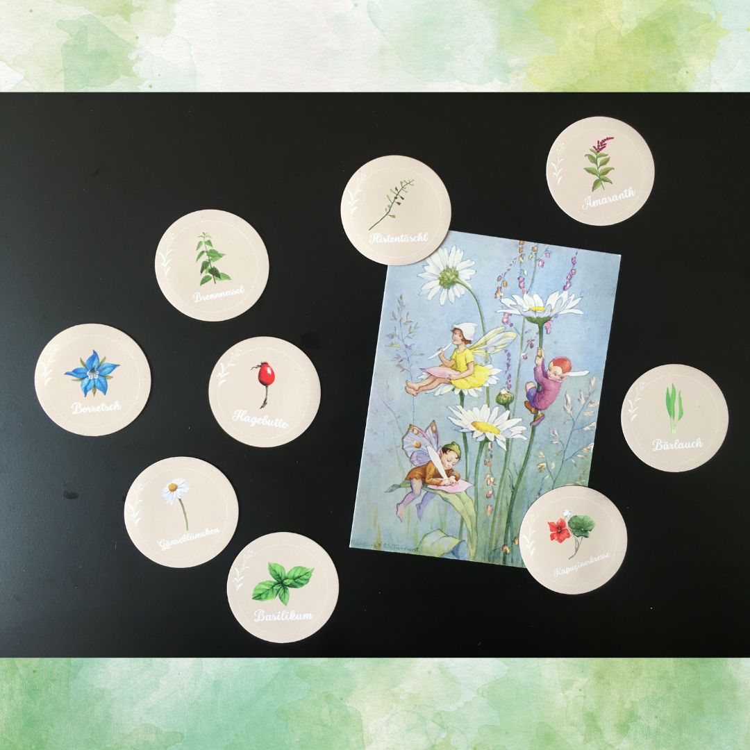 9er-Set Wildkräuter Magnete – Bild 4
