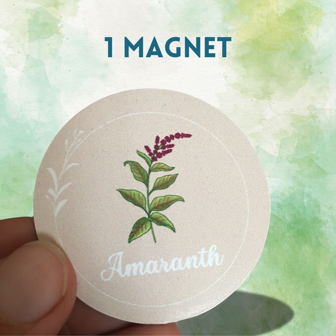 1 Wildkräuter Magnet