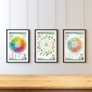 3er Set Wildkräuter-Lernposter