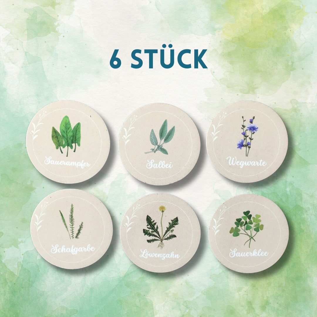 6er-Set Wildkräuter Magnete