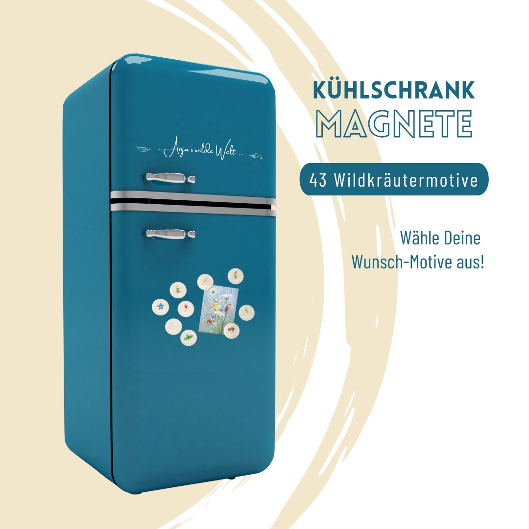 9er-Set Wildkräuter Magnete – Bild 2